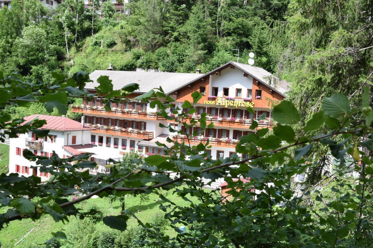 Hotel Alpenrose アッレゲ エクステリア 写真
